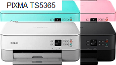 Canon PIXMA TS5365 printer and scanner drivers